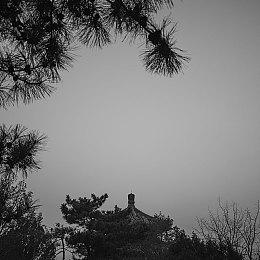 《博德之门3》大获成功 拉瑞安希望更多厂商制作CRPG